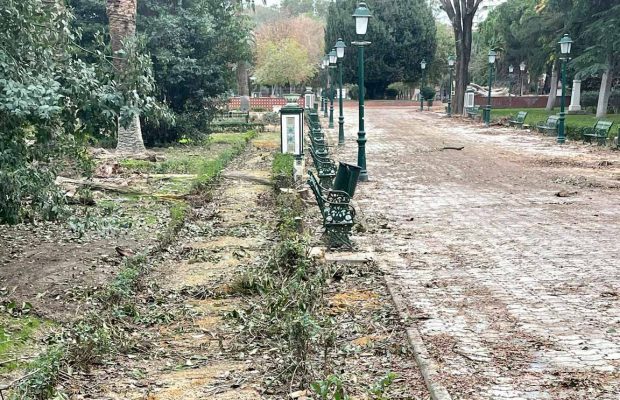 Solicitan la paralización de la tala de árboles en los Jardines del Prado